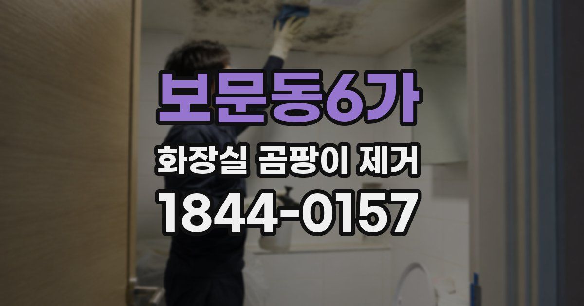 보문동6가 화장실 곰팡이 제거