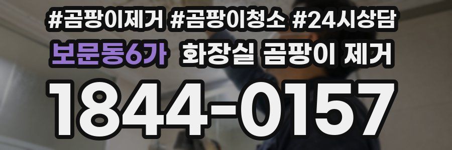 보문동6가 화장실 곰팡이 제거