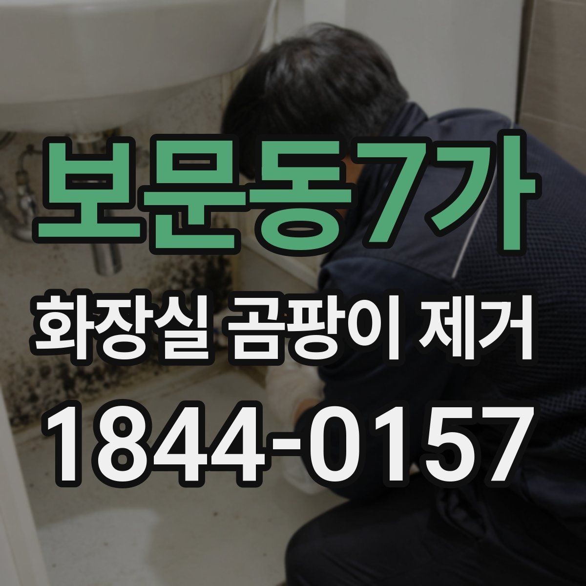 보문동7가 화장실 곰팡이 제거 벽면과 천장 경계 오염을 줄이는 기본 순서
