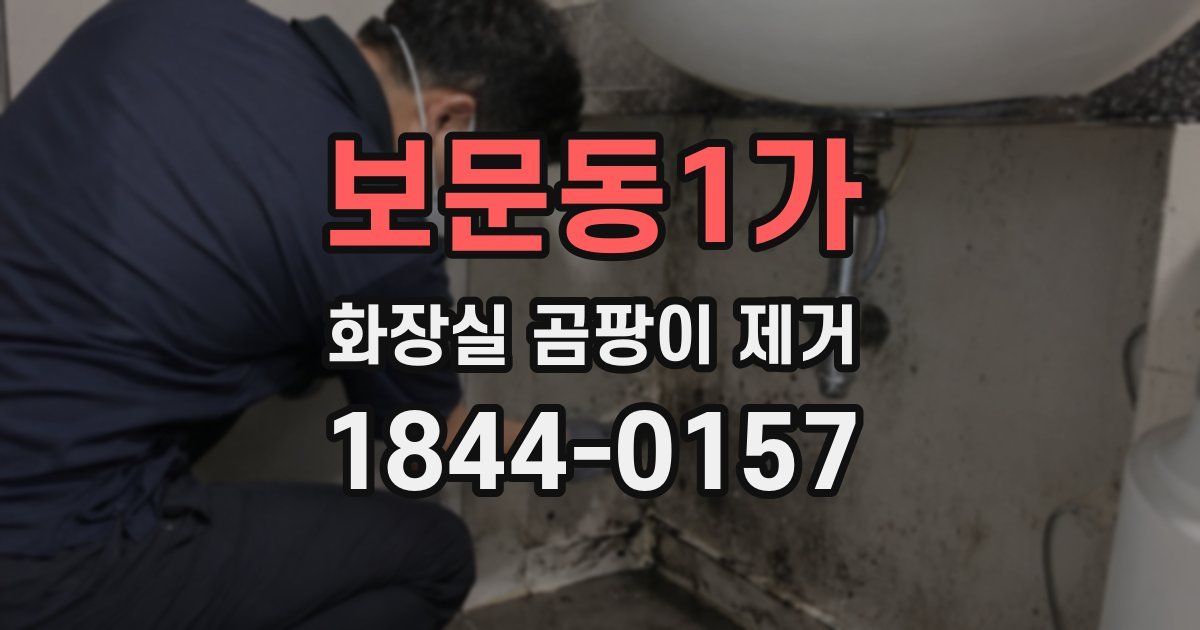 보문동1가 화장실 곰팡이 제거
