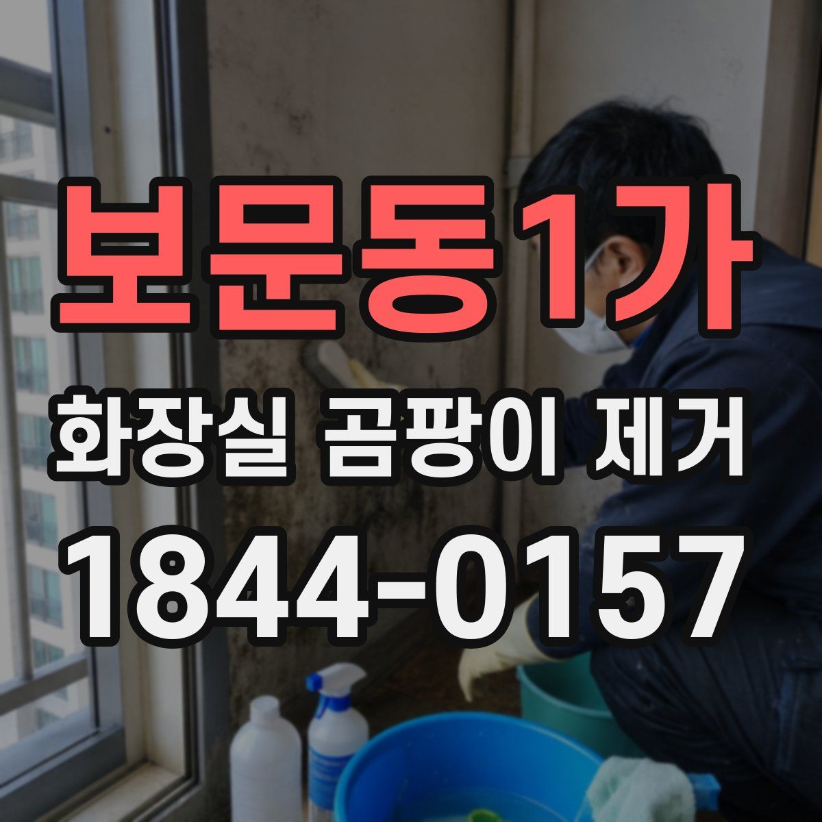 보문동1가 화장실 곰팡이 제거
