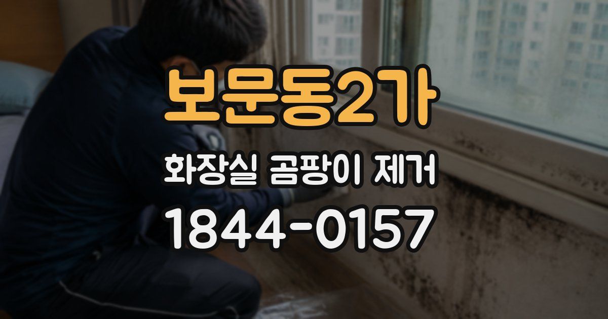 보문동2가 화장실 곰팡이 제거