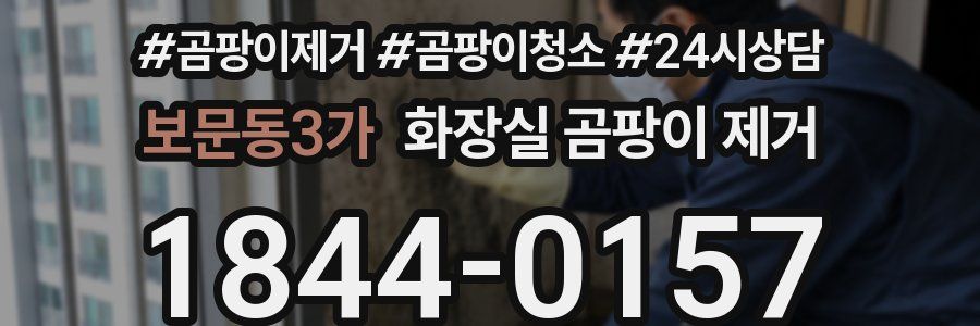 보문동3가 화장실 곰팡이 제거