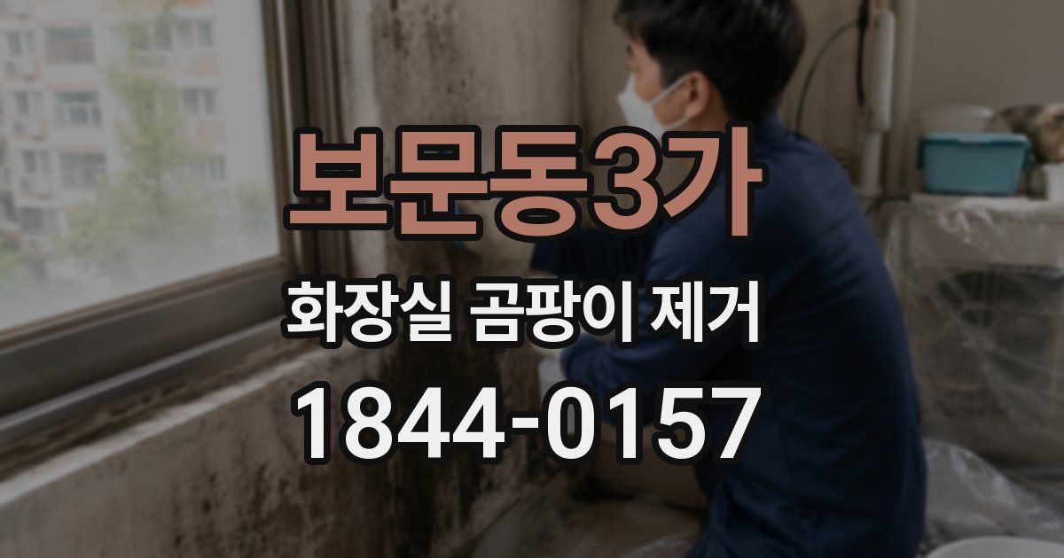 보문동3가 화장실 곰팡이 제거
