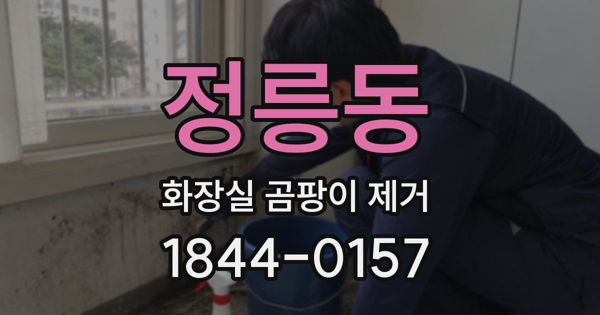 정릉동 화장실 곰팡이 제거