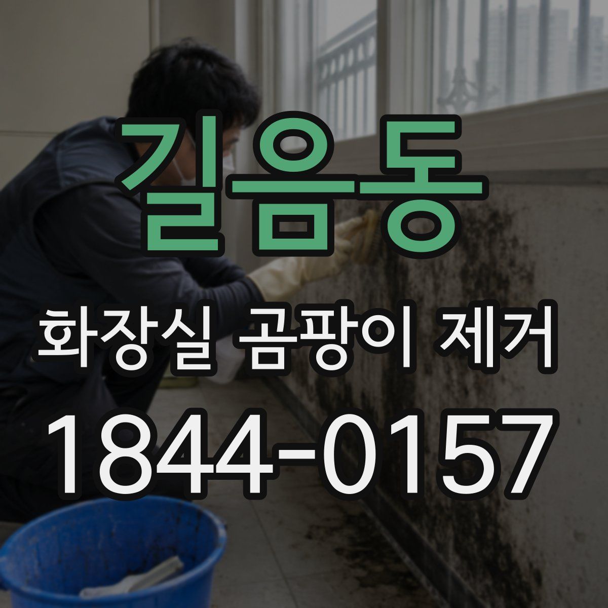길음동 화장실 곰팡이 제거
