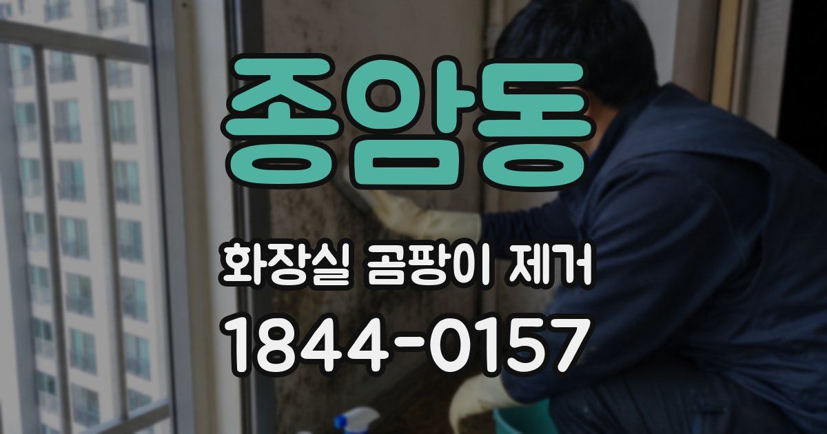 종암동 화장실 곰팡이 제거