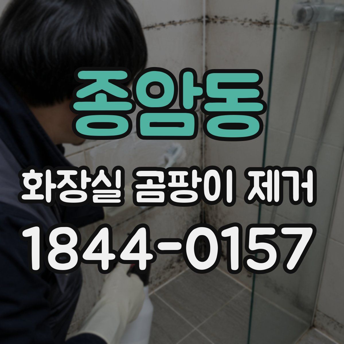 종암동 화장실 곰팡이 제거