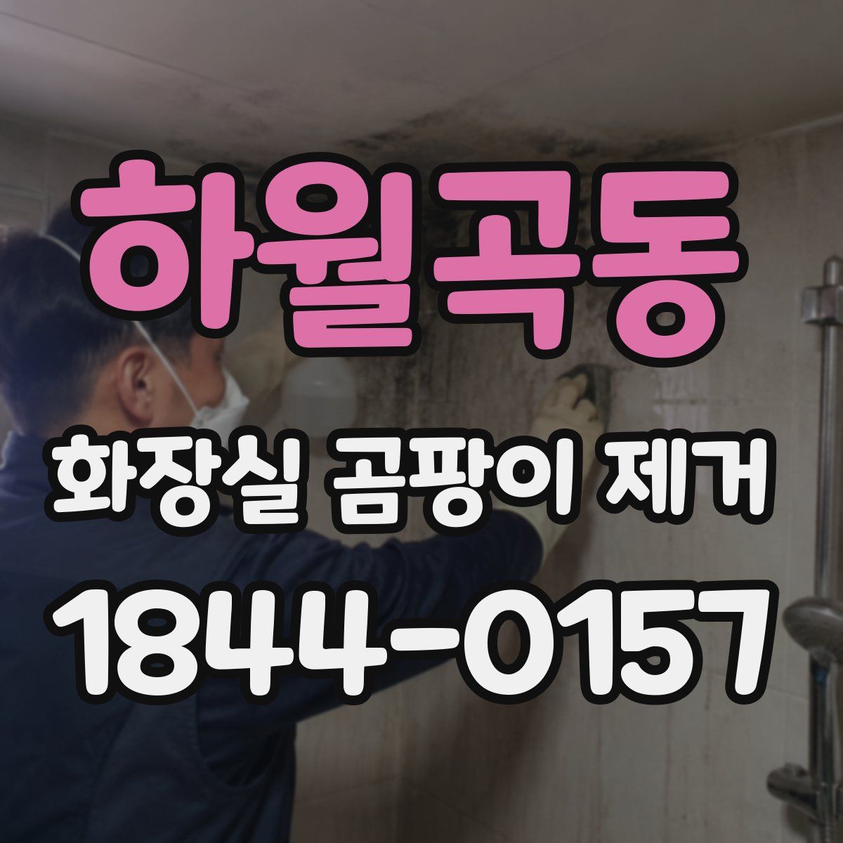 하월곡동 화장실 곰팡이 제거
