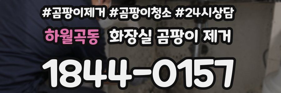 하월곡동 화장실 곰팡이 제거