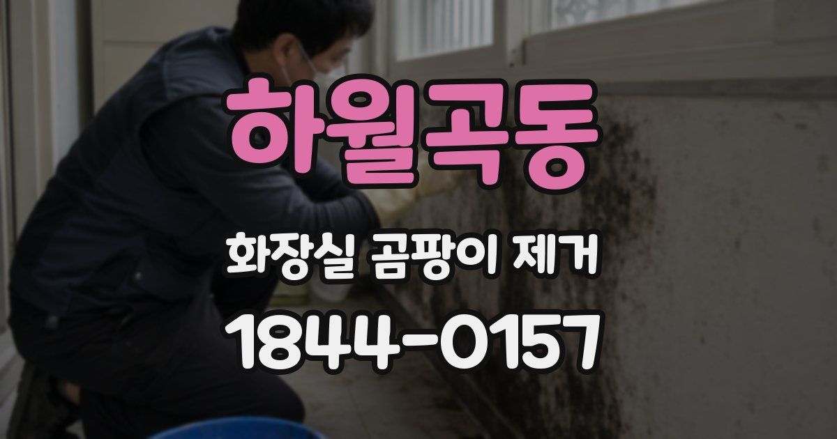 하월곡동 화장실 곰팡이 제거