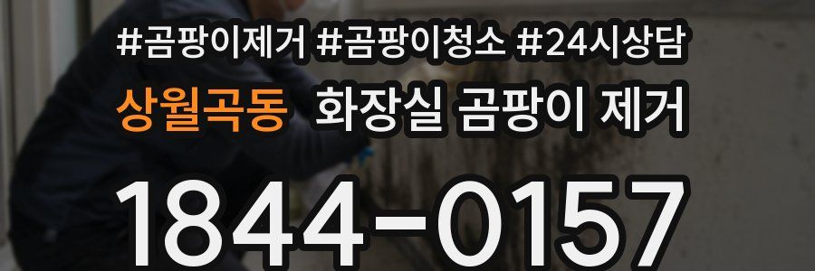 상월곡동 화장실 곰팡이 제거
