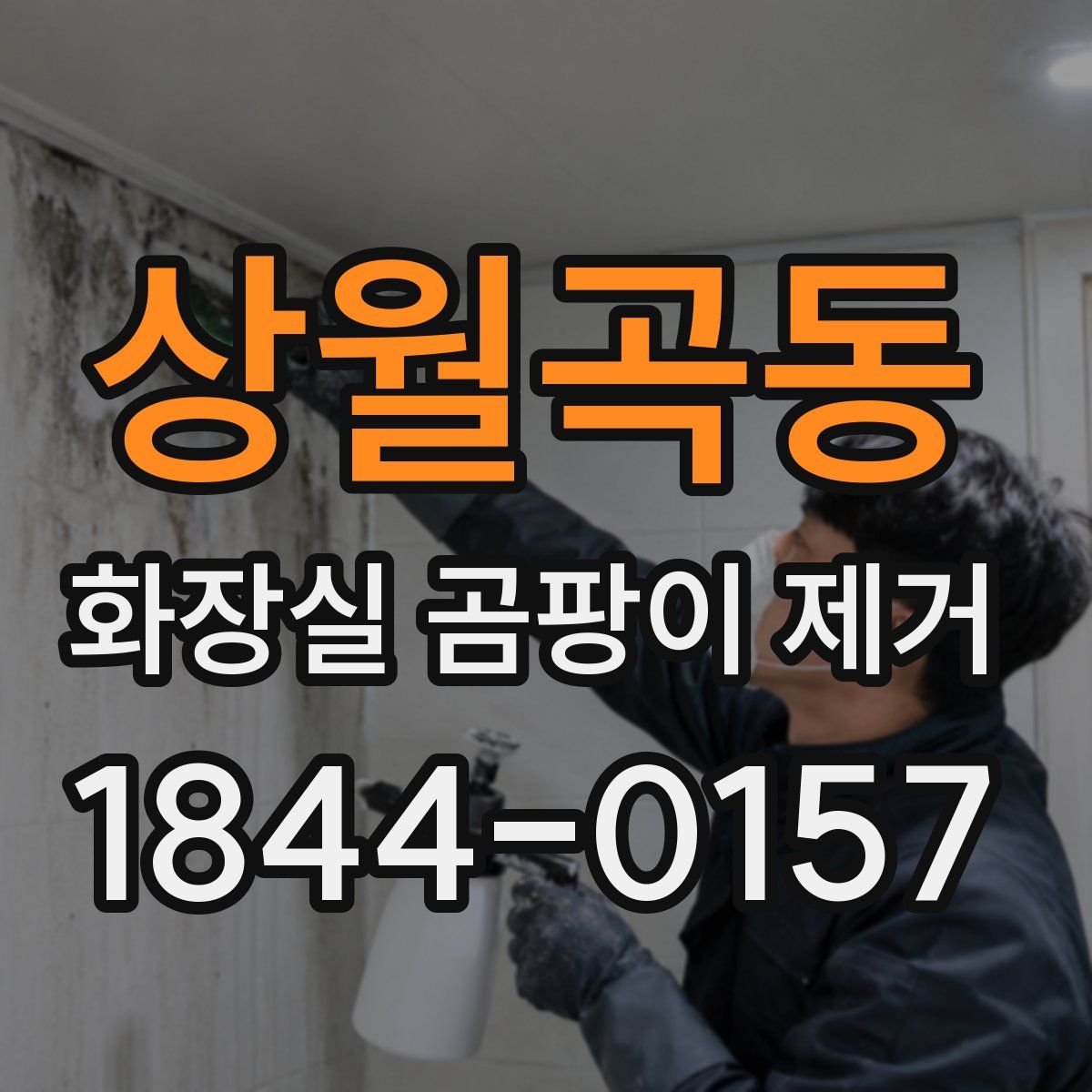 상월곡동 화장실 곰팡이 제거