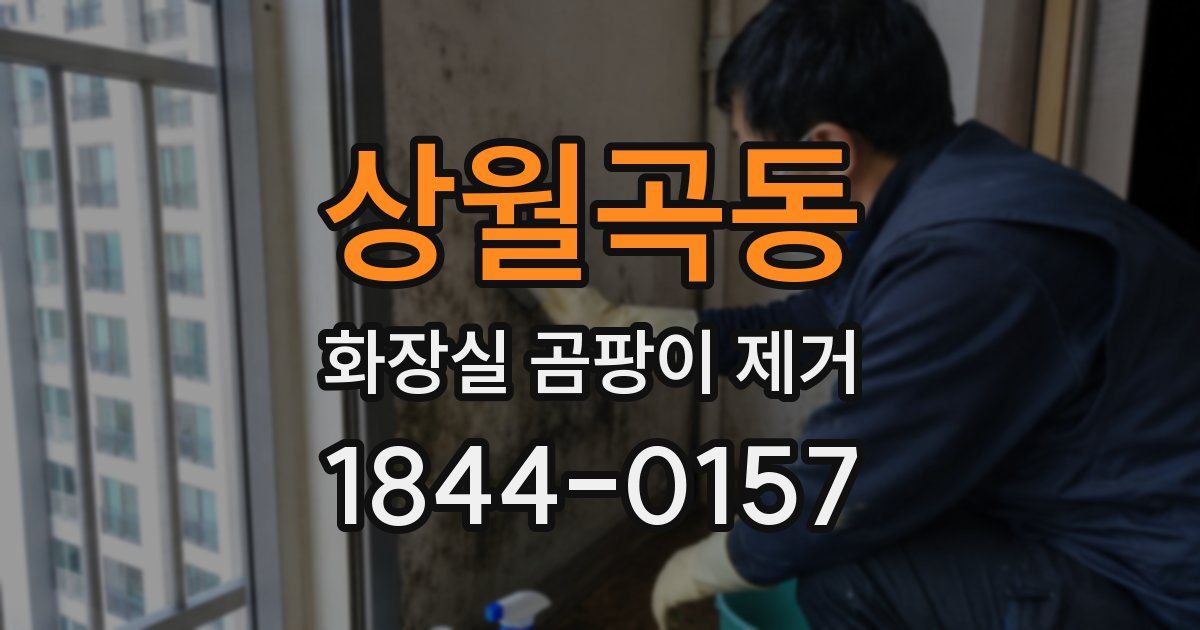 상월곡동 화장실 곰팡이 제거