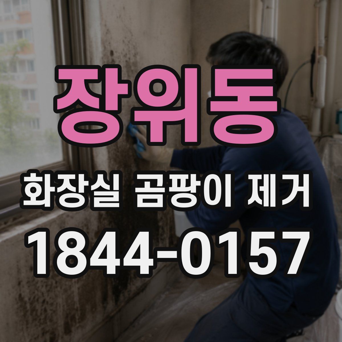 장위동 화장실 곰팡이 제거