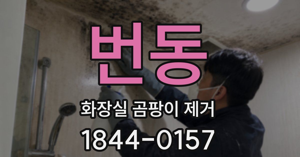 번동 화장실 곰팡이 제거