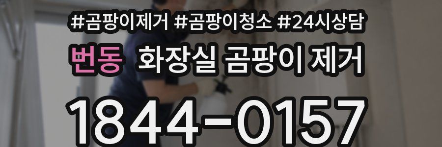 번동 화장실 곰팡이 제거