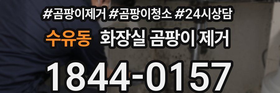 수유동 화장실 곰팡이 제거