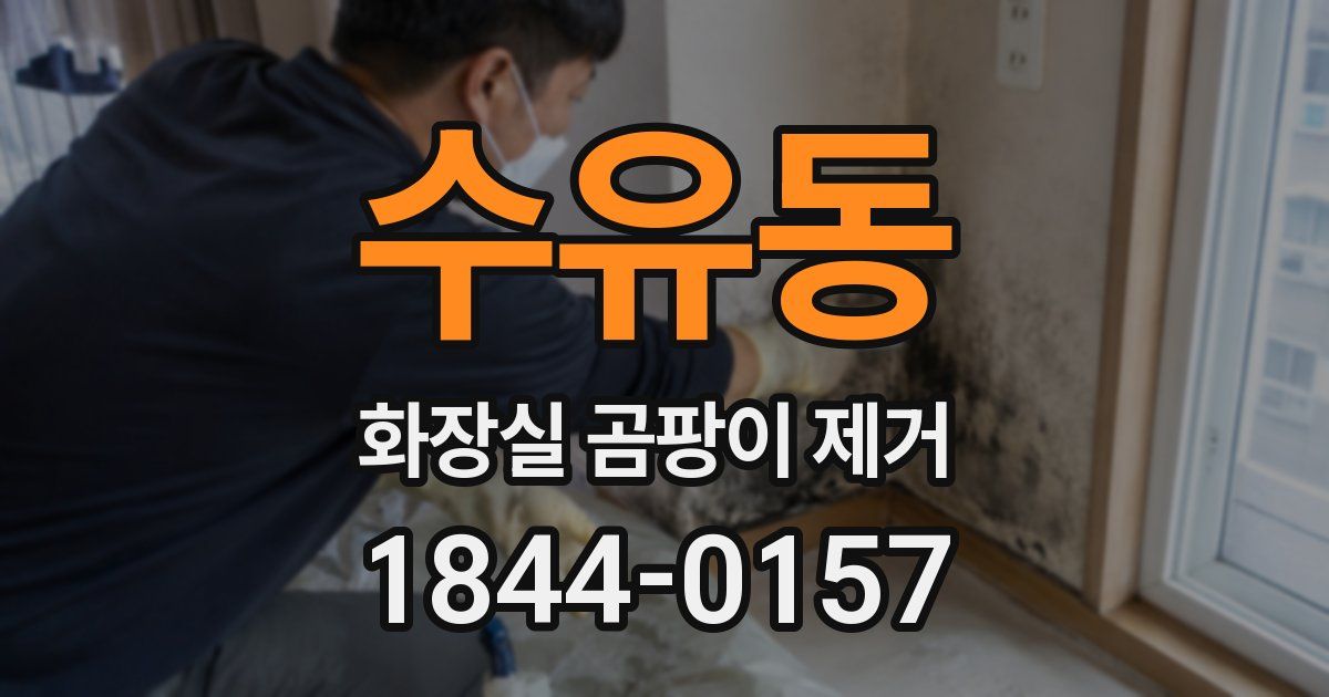 수유동 화장실 곰팡이 제거