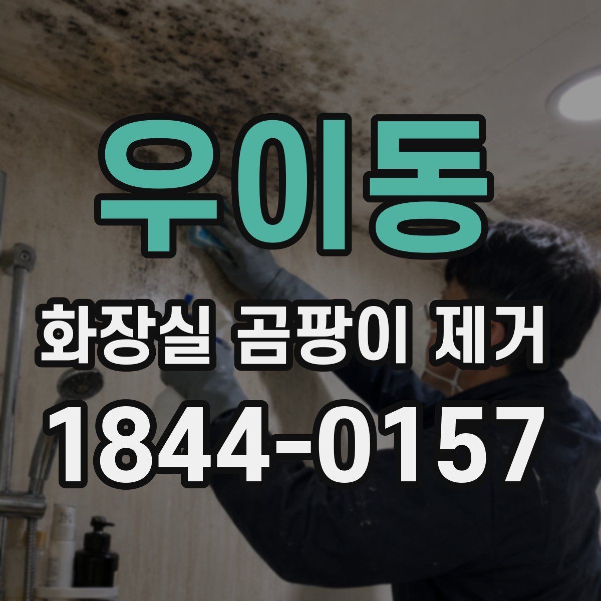우이동 화장실 곰팡이 제거 표면 손상 없이 마무리하는 작업 방식