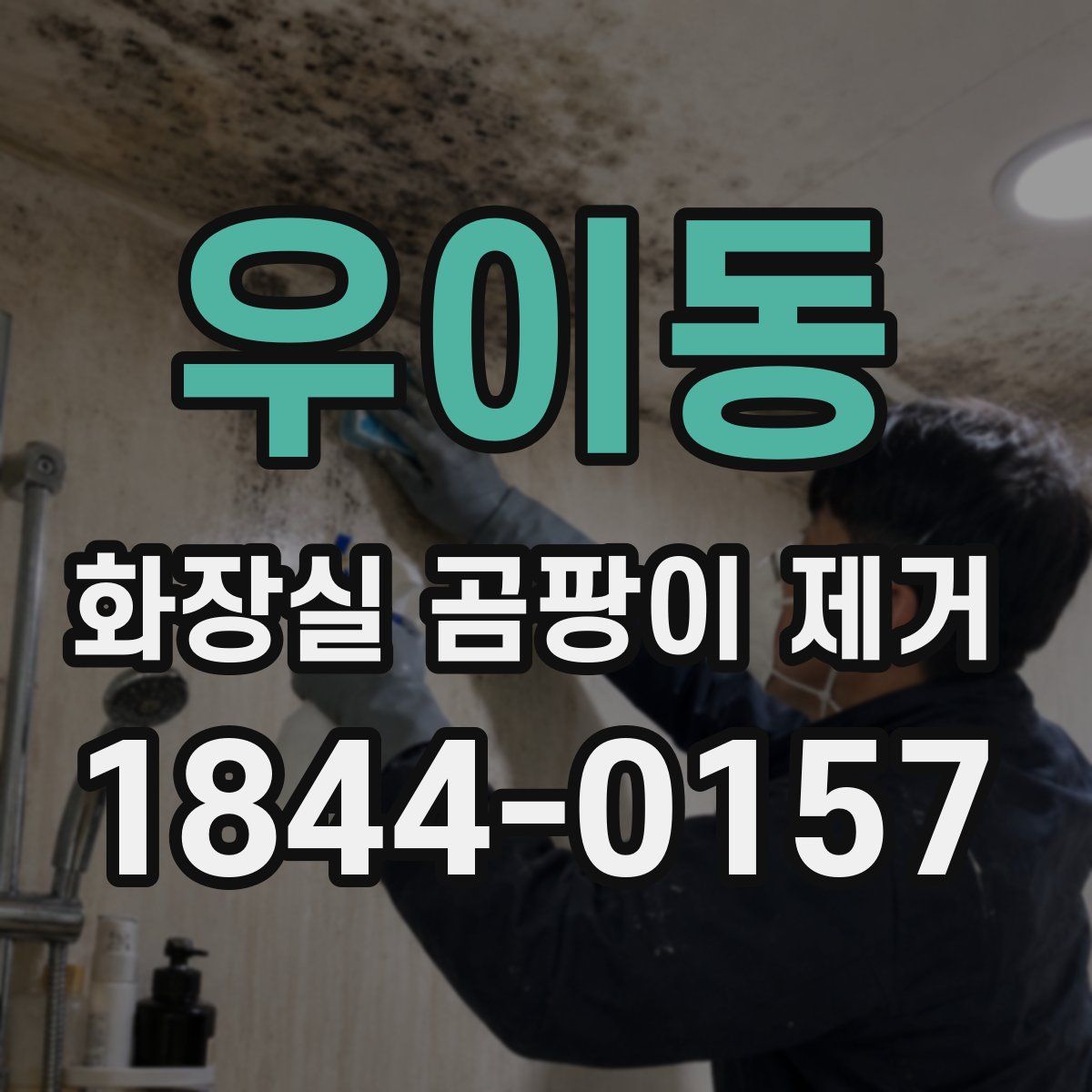 우이동 화장실 곰팡이 제거