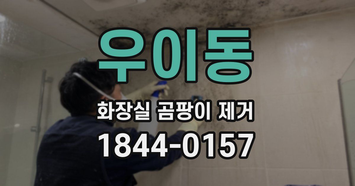 우이동 화장실 곰팡이 제거
