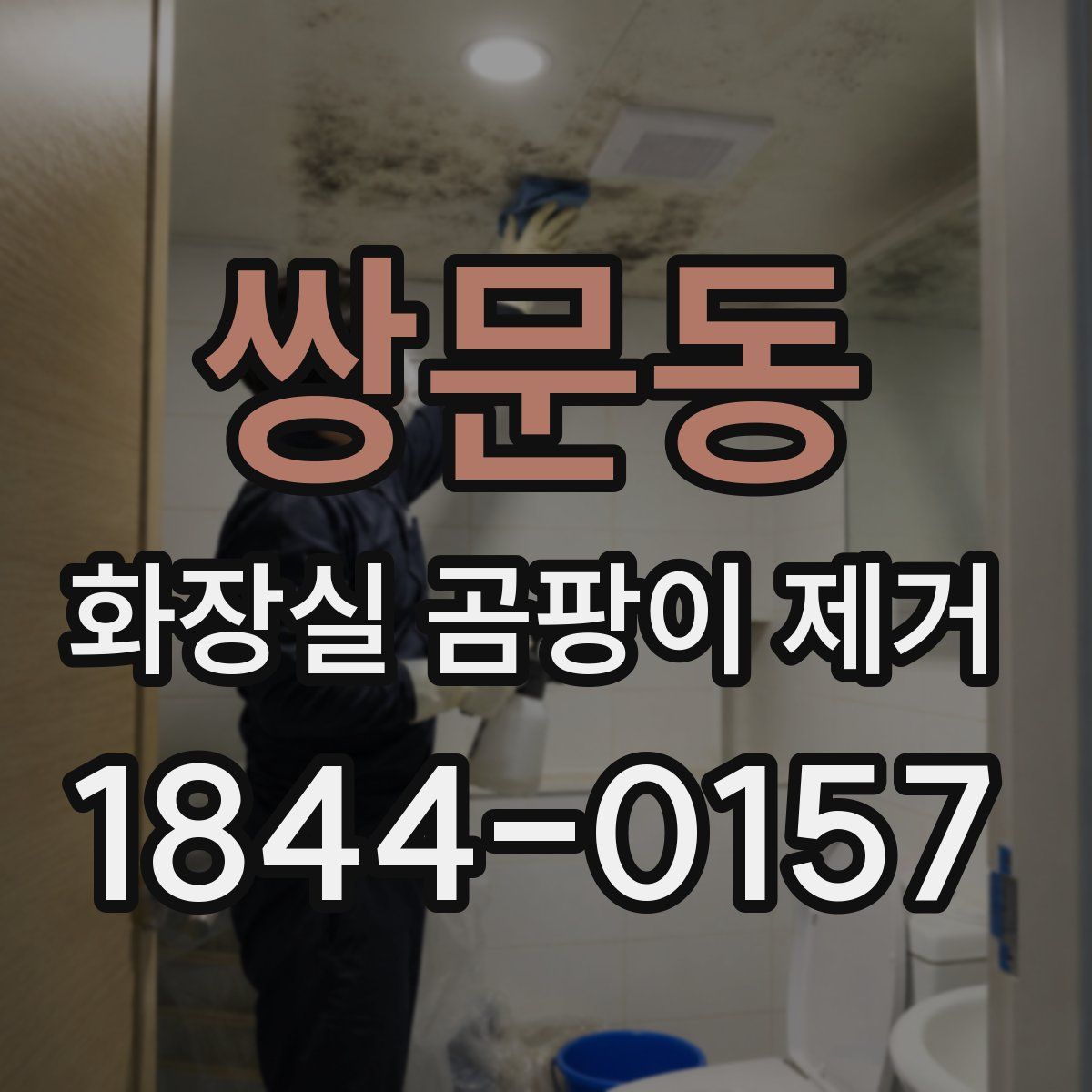 쌍문동 화장실 곰팡이 제거