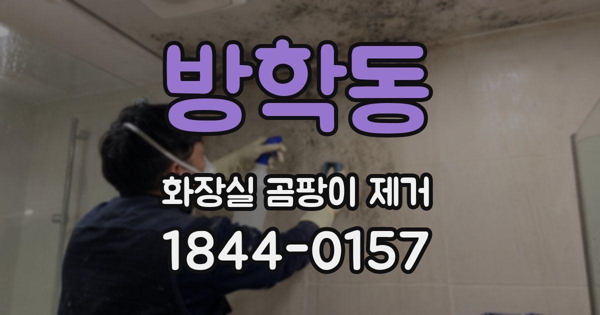 방학동 화장실 곰팡이 제거