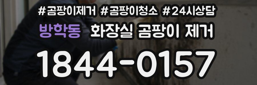 방학동 화장실 곰팡이 제거