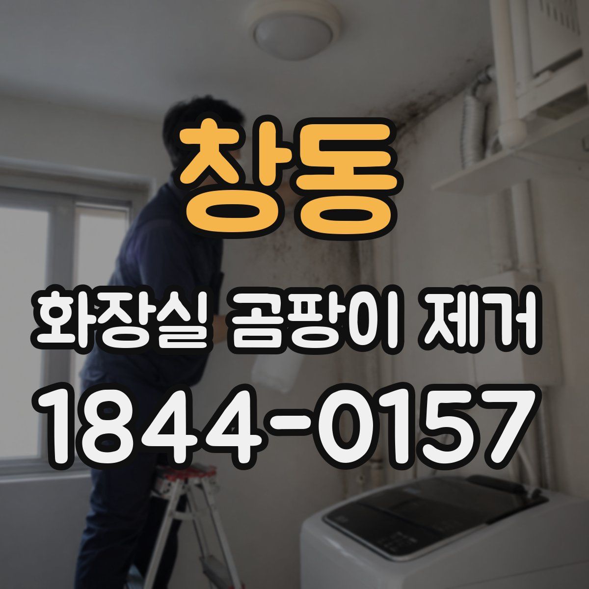 창동 화장실 곰팡이 제거