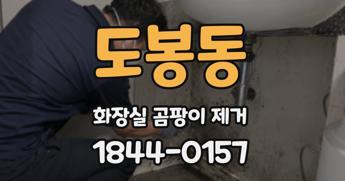 도봉동 화장실 곰팡이 제거