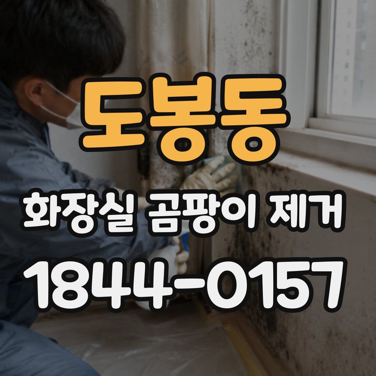 도봉동 화장실 곰팡이 제거
