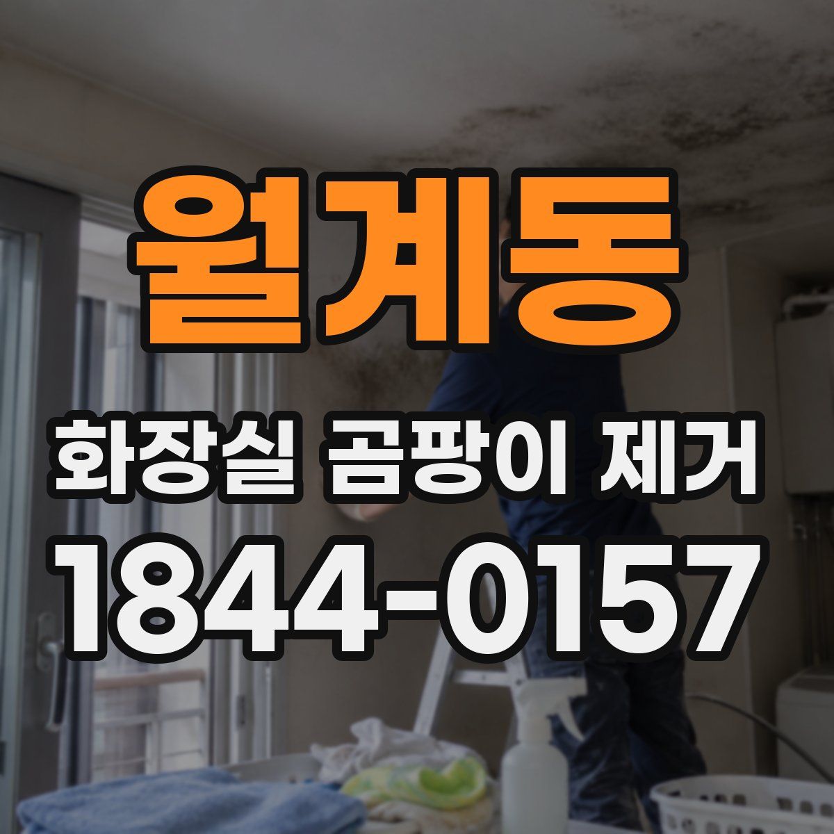 월계동 화장실 곰팡이 제거