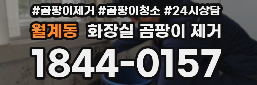 월계동 화장실 곰팡이 제거