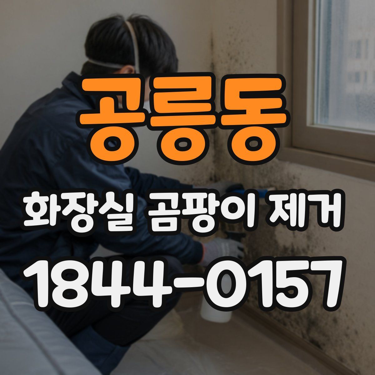공릉동 화장실 곰팡이 제거