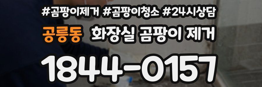 공릉동 화장실 곰팡이 제거