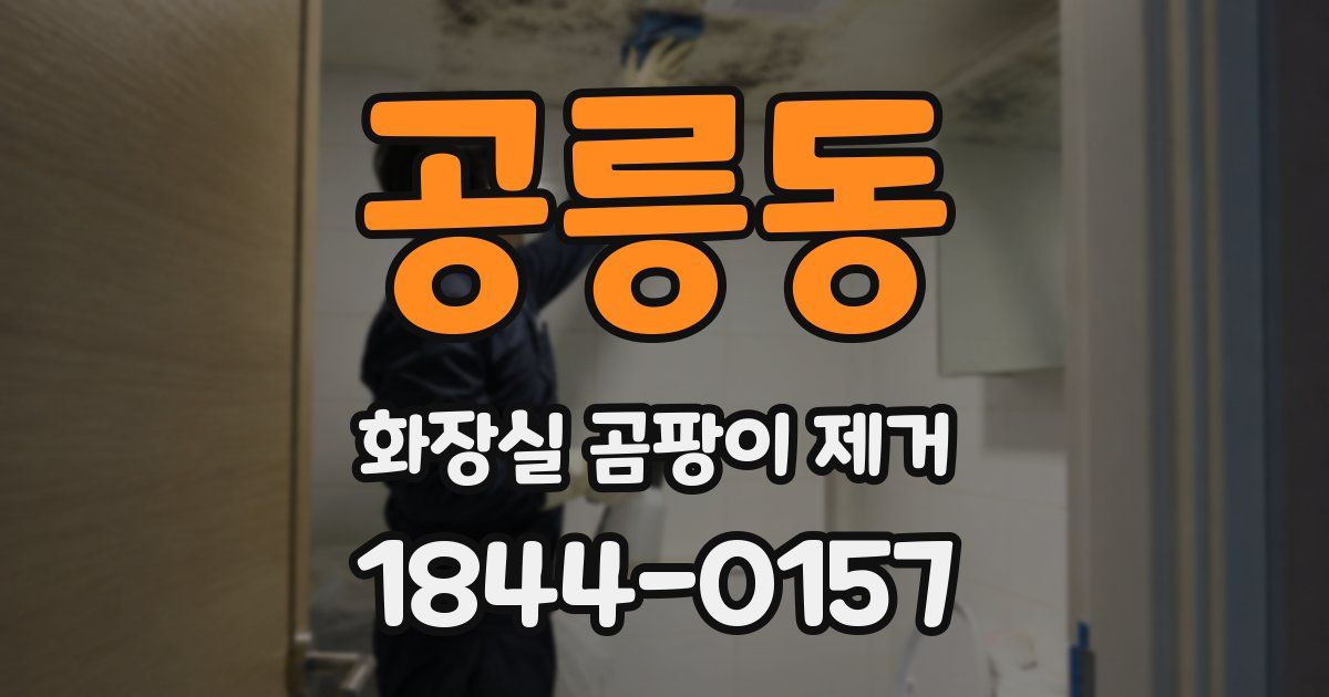 공릉동 화장실 곰팡이 제거