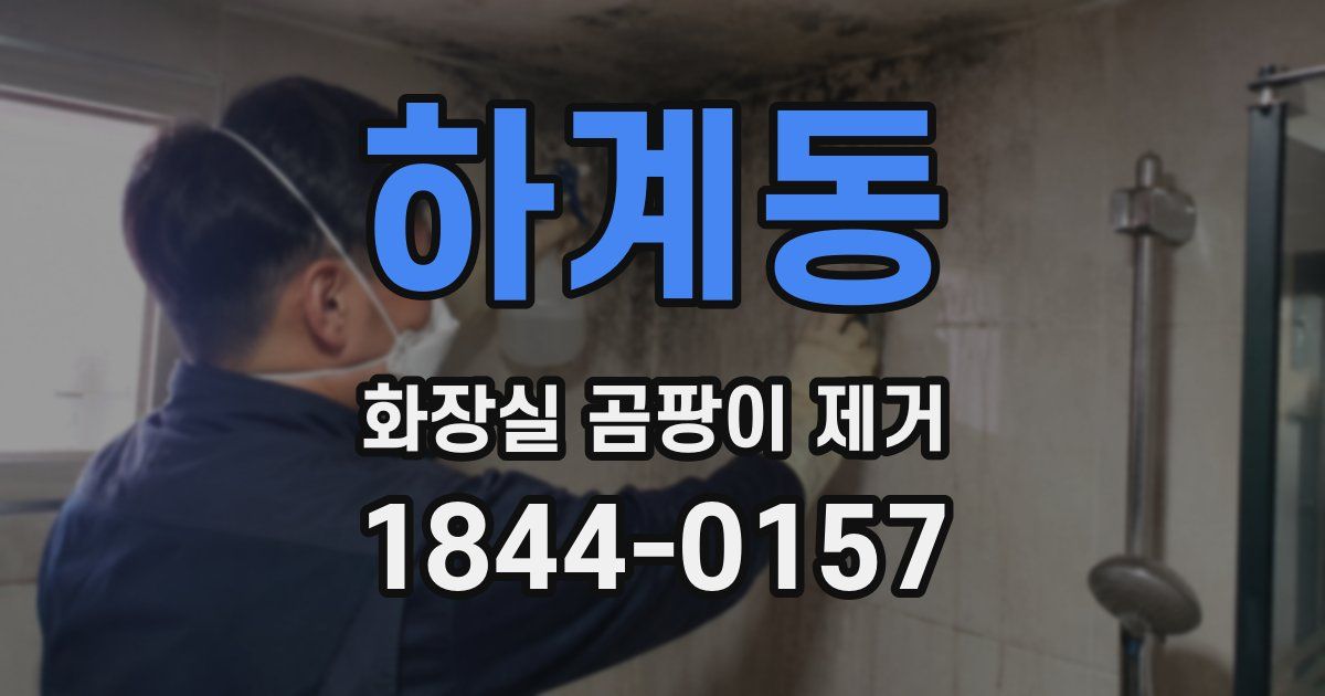하계동 화장실 곰팡이 제거