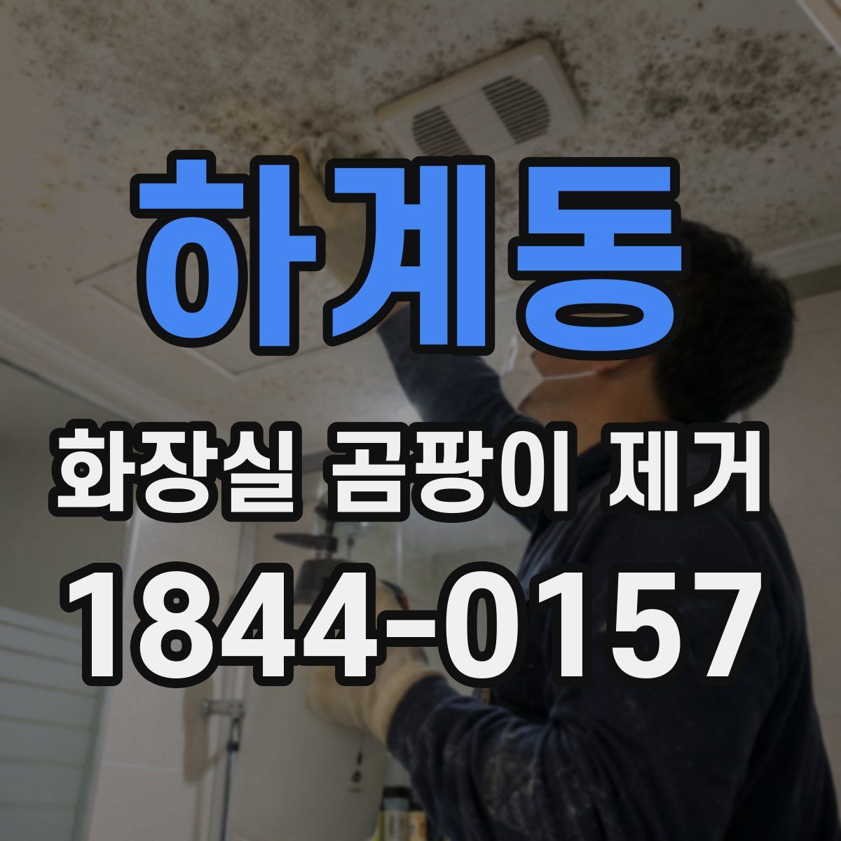 하계동 화장실 곰팡이 제거