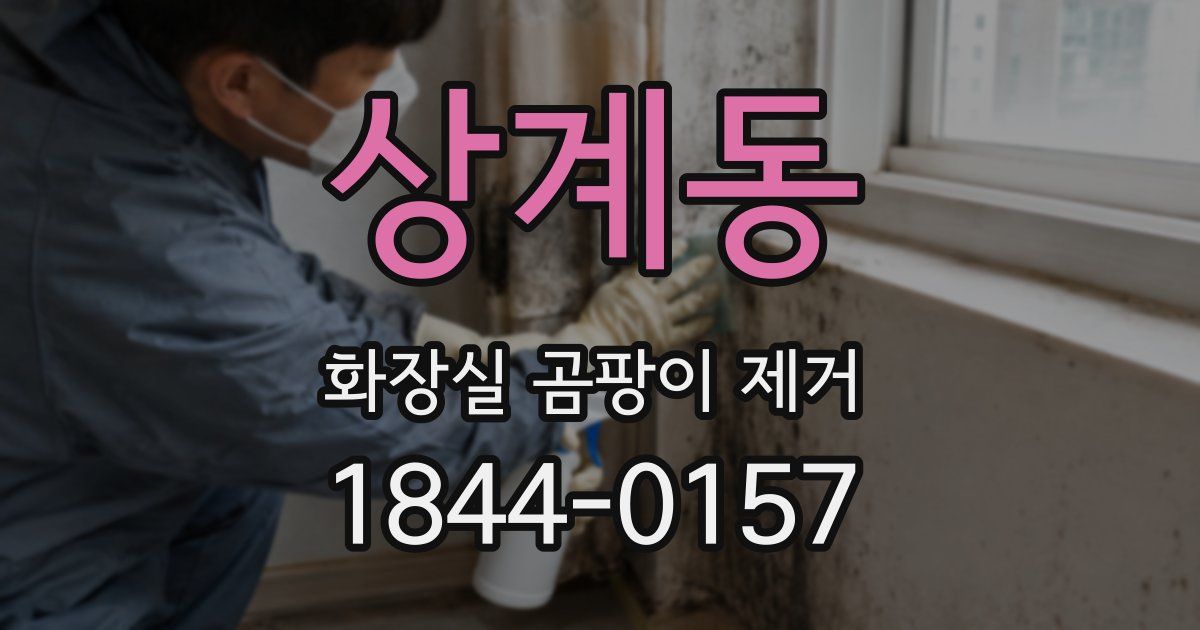 상계동 화장실 곰팡이 제거