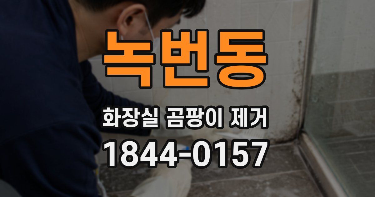 녹번동 화장실 곰팡이 제거