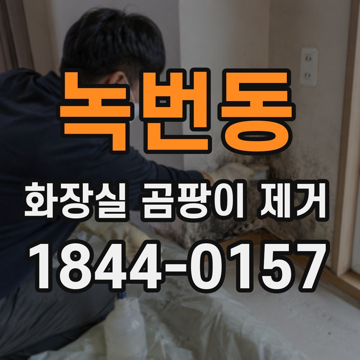 녹번동 화장실 곰팡이 제거
