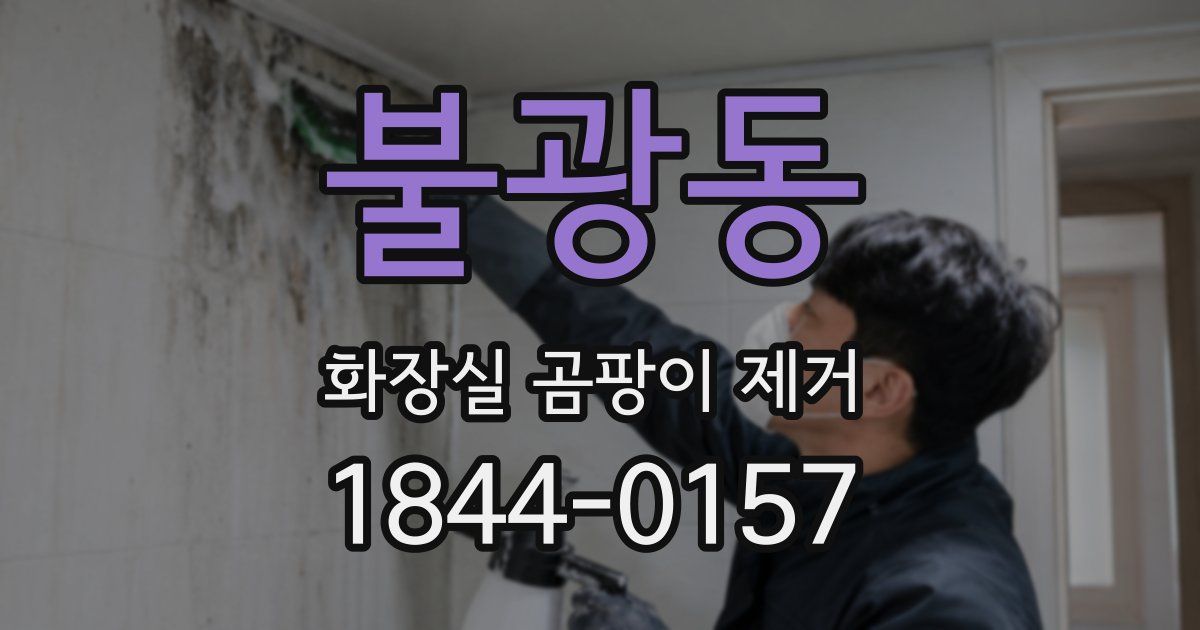 불광동 화장실 곰팡이 제거