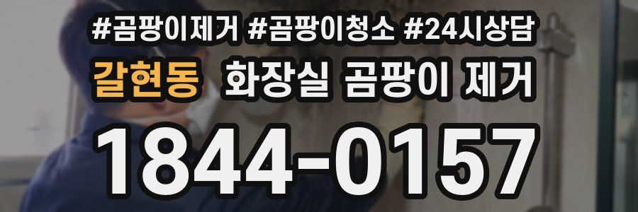 갈현동 화장실 곰팡이 제거