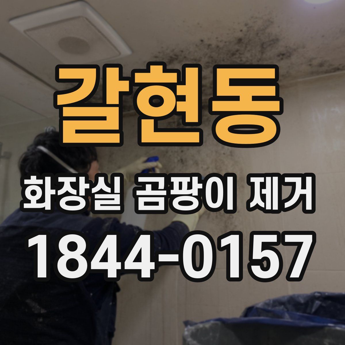 갈현동 화장실 곰팡이 제거