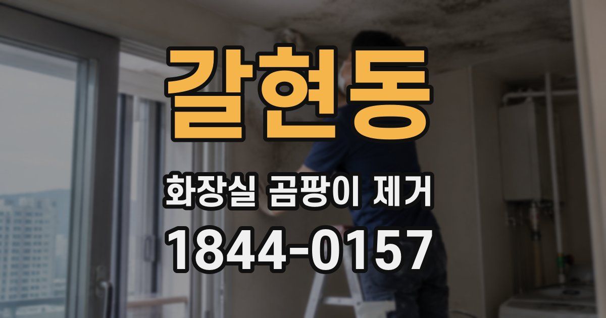 갈현동 화장실 곰팡이 제거