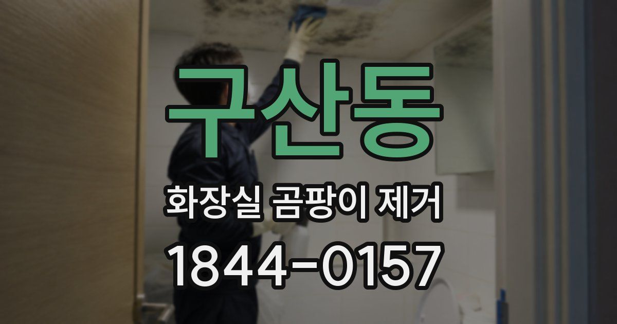 구산동 화장실 곰팡이 제거