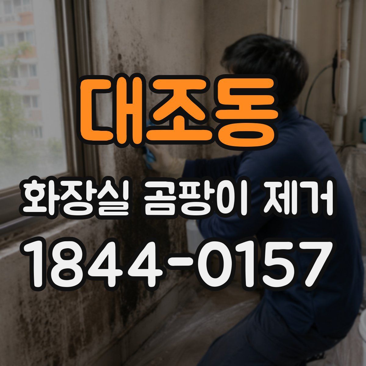 대조동 화장실 곰팡이 제거