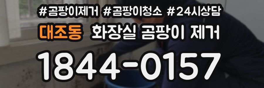 대조동 화장실 곰팡이 제거