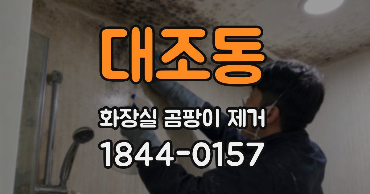 대조동 화장실 곰팡이 제거
